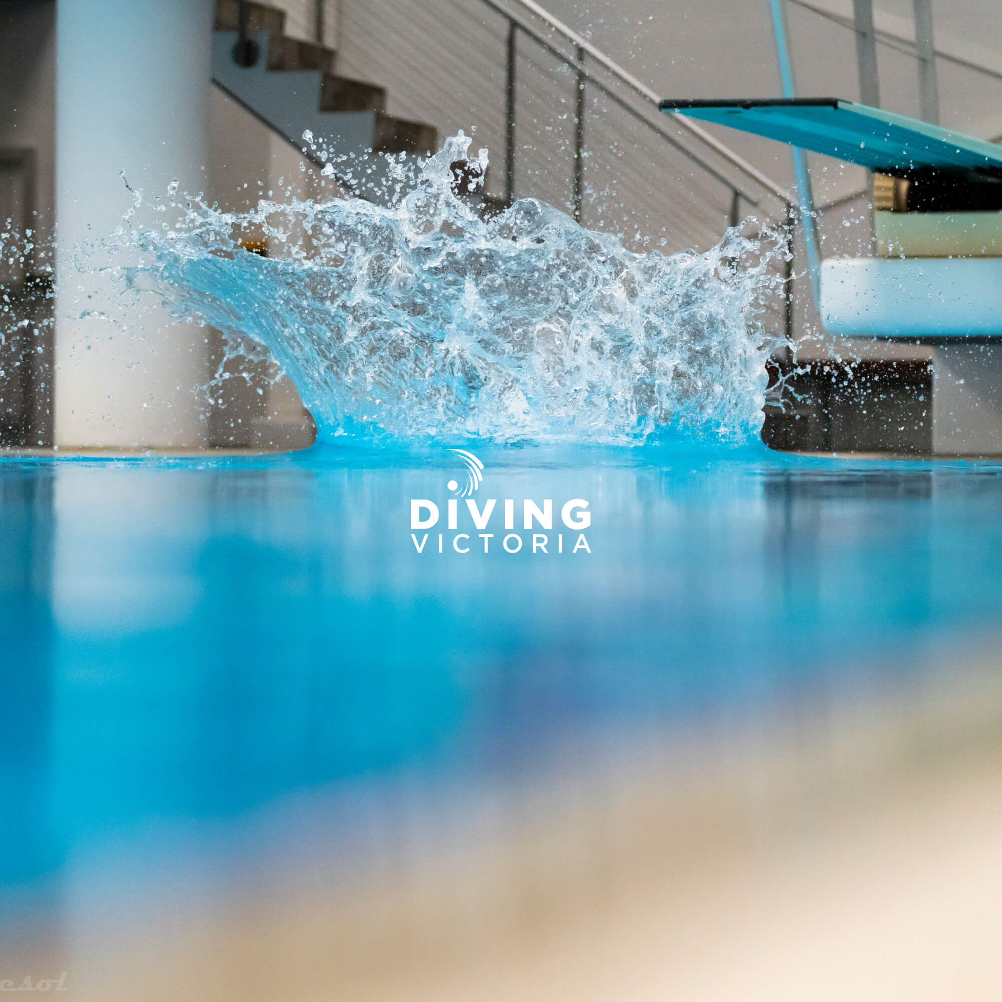 Diving Victoria