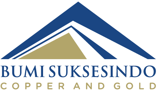 BSI