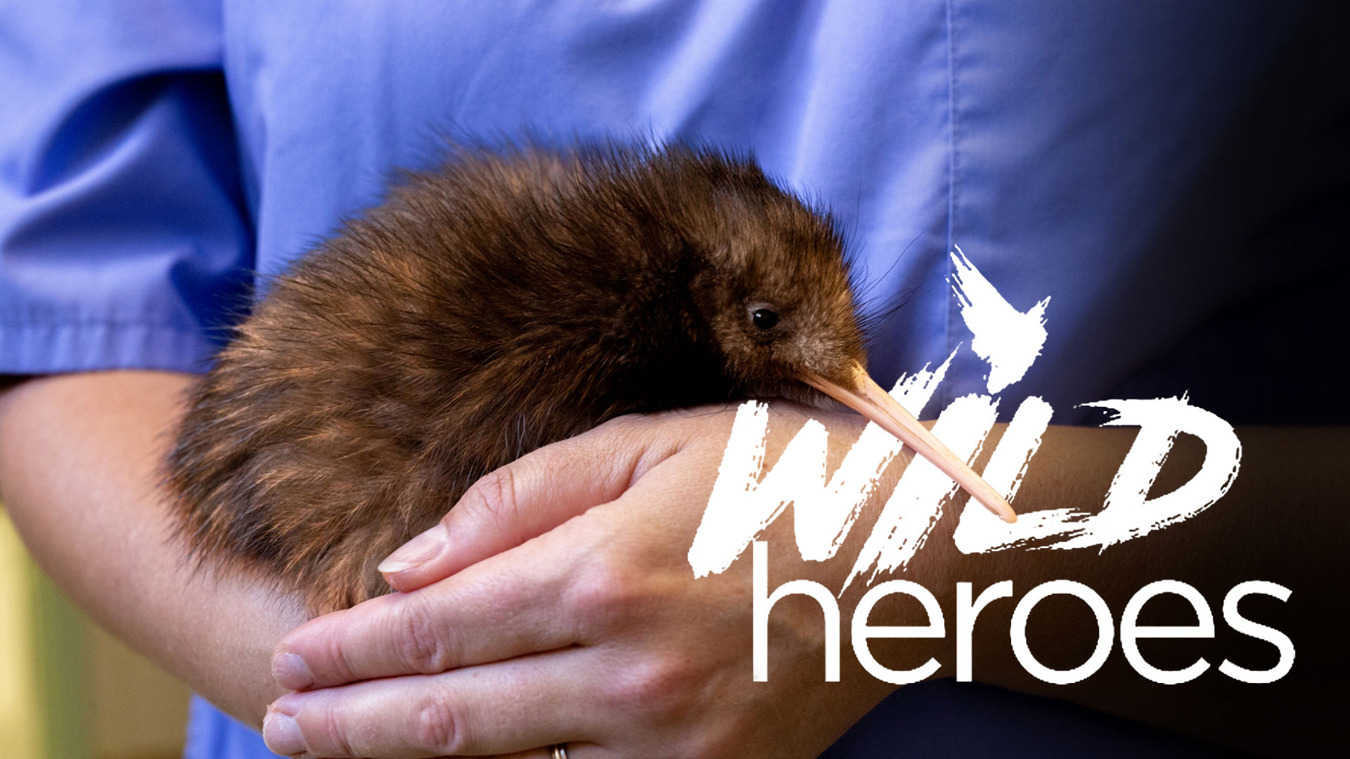 Wild Heroes | Global Trekker