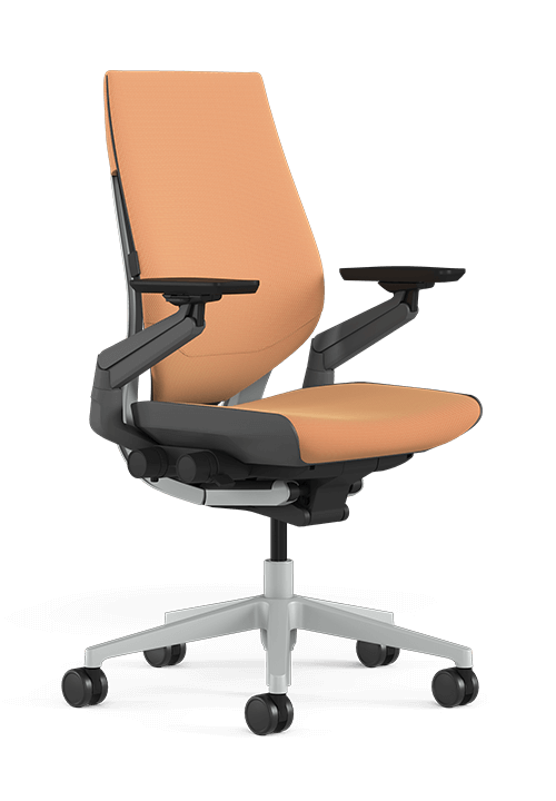 Steelcase Sit Better Gesture
