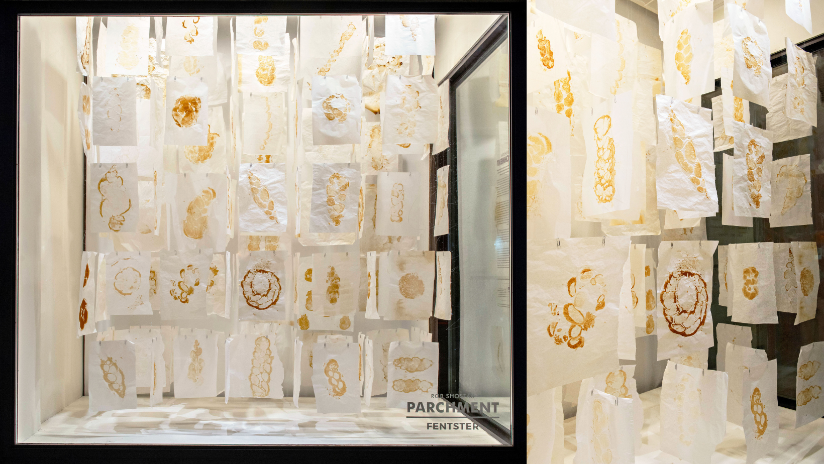 Parchment Website The Stories Behind the Parchments | Niv Mag