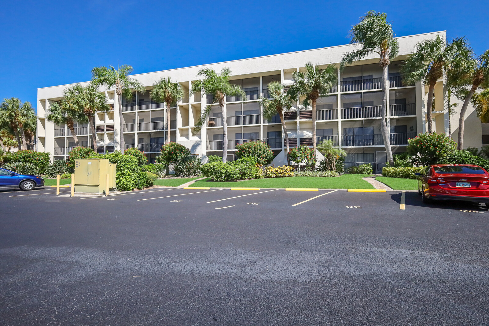 Christy Peterson Tampa Bay Real Estate