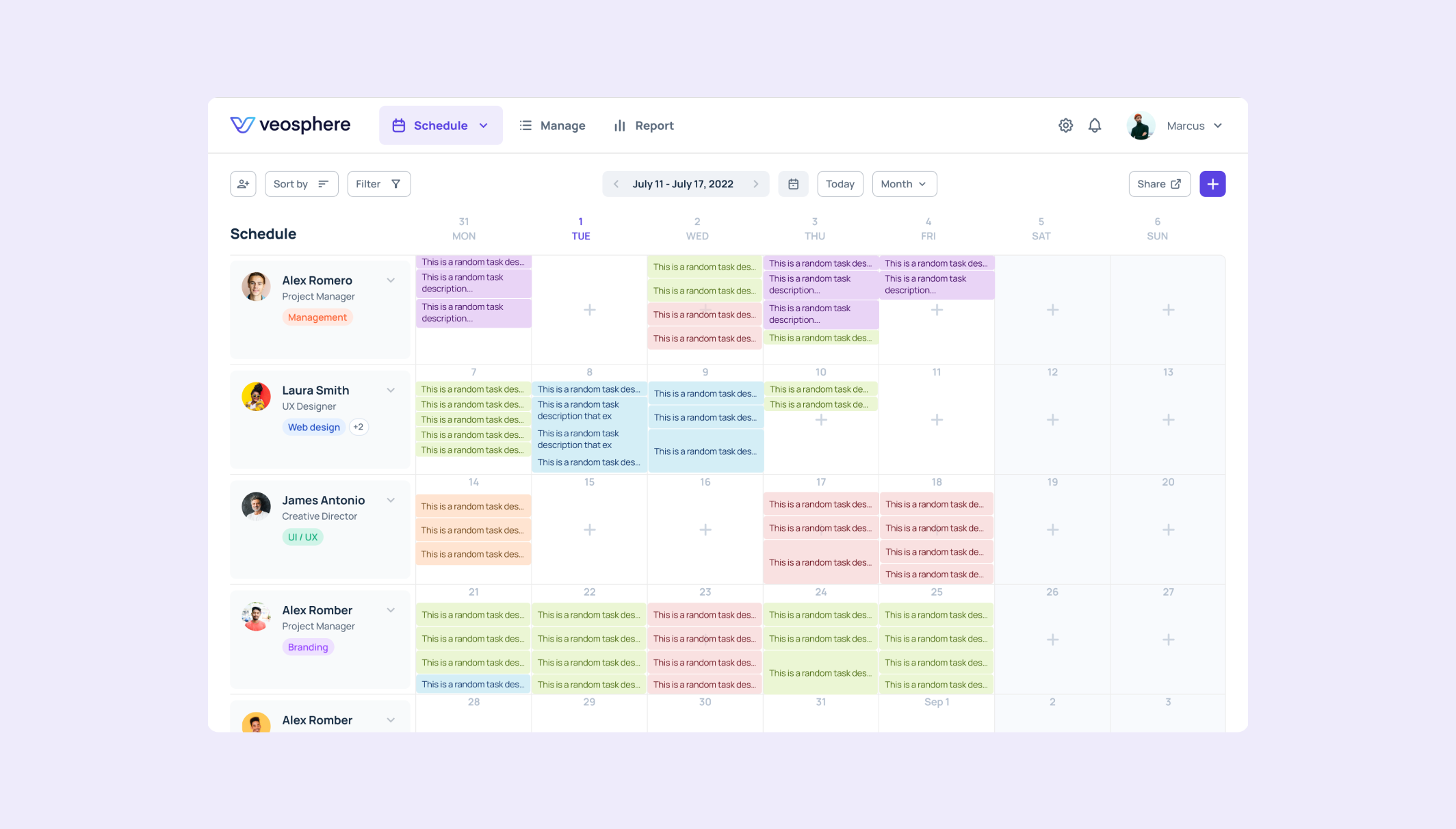 Veosphere monthly view 