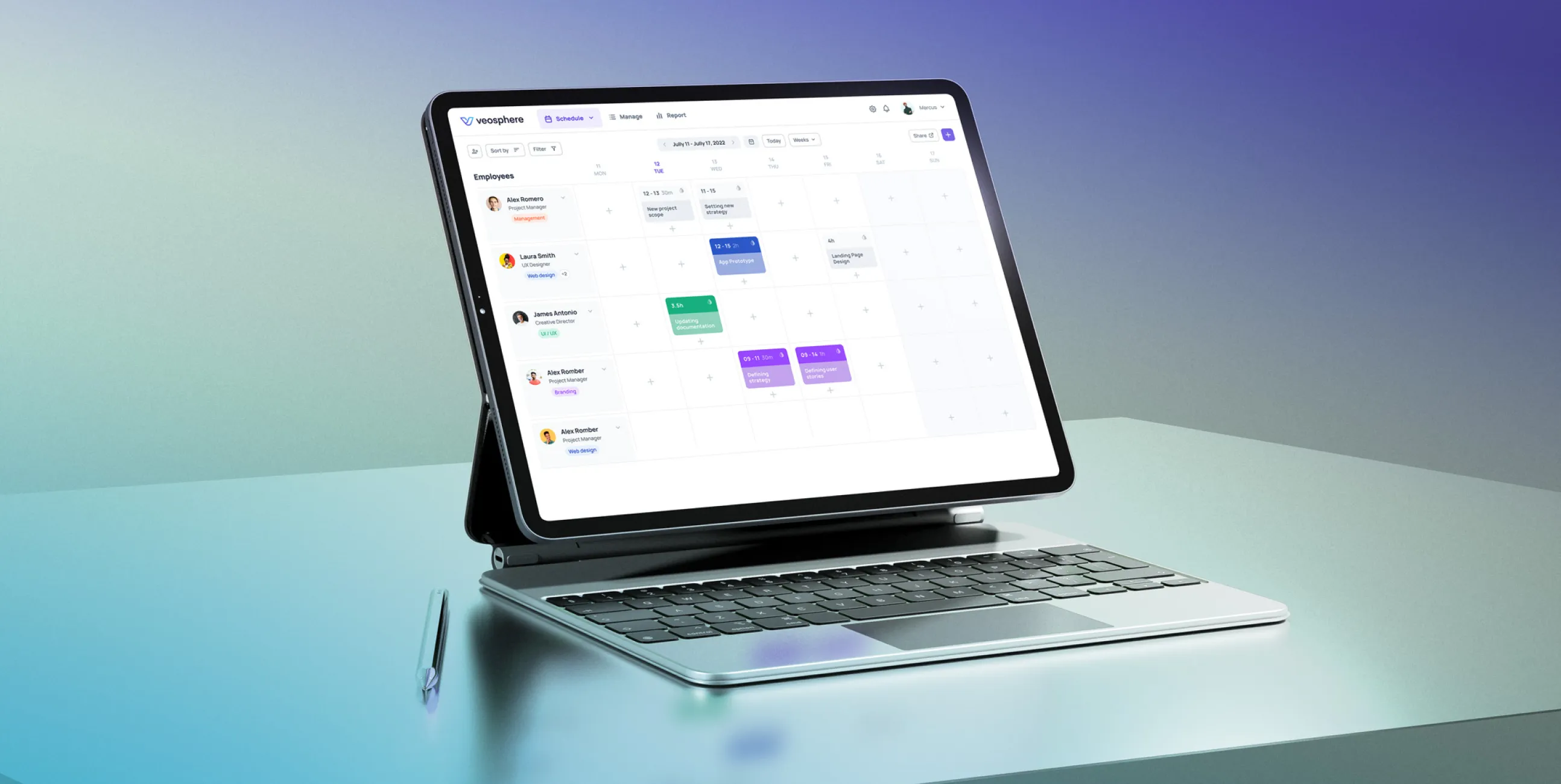 Veosphere case study