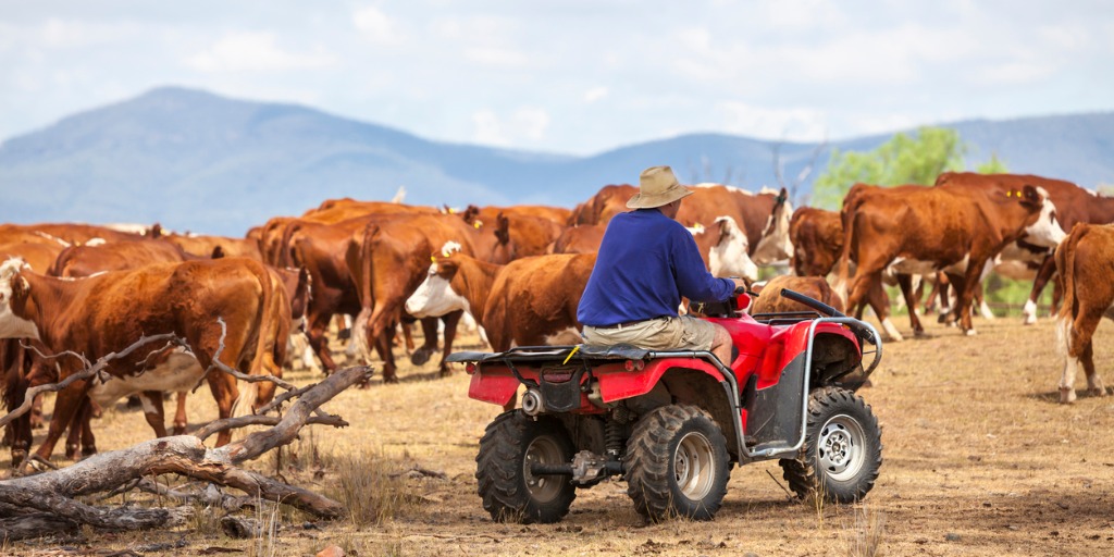 Australian Government Introduces New Quad Bike Safety Standard