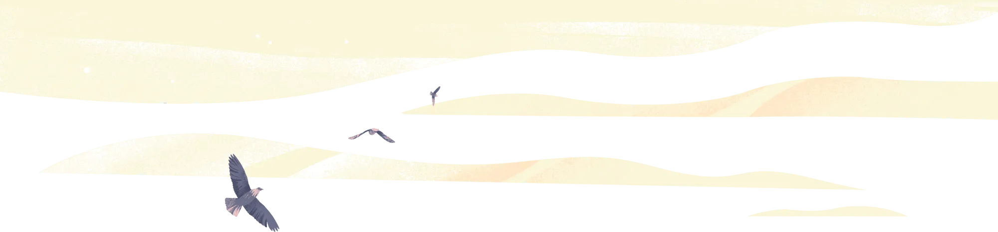 How to Write an Obituary (with Free Templates!) | After.com