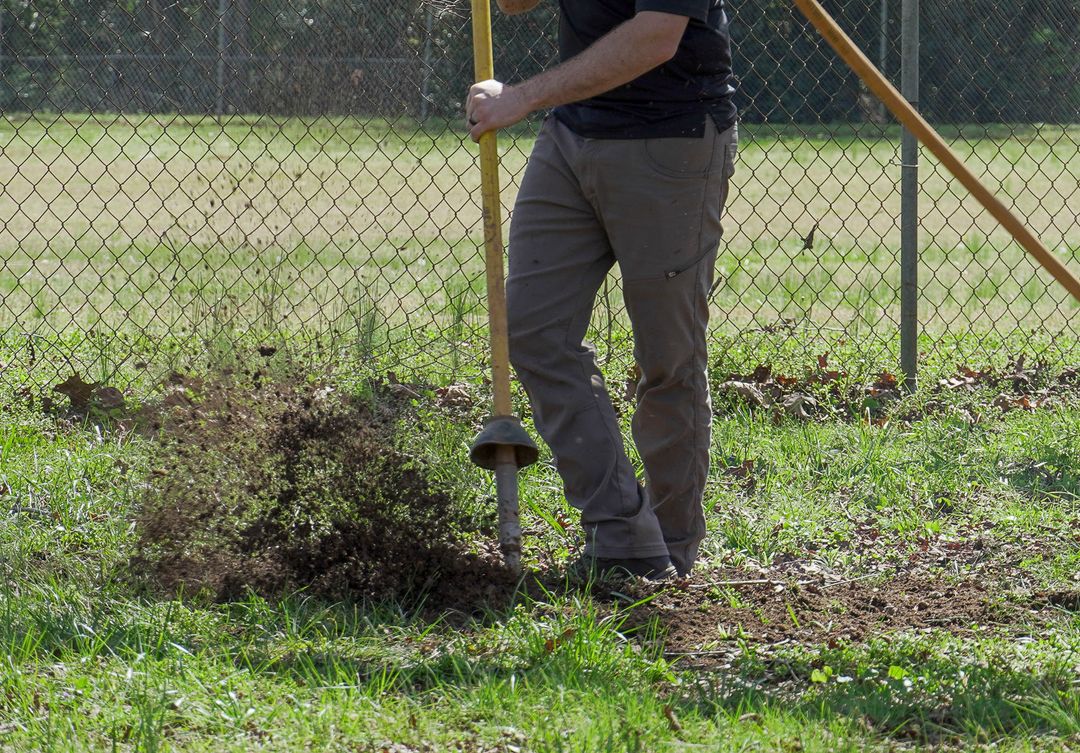 Birchrest Tree & Landscape: Tree Care Excellence