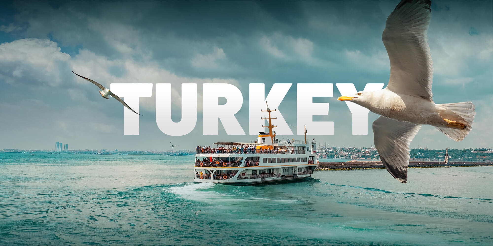 Turkey Turkey