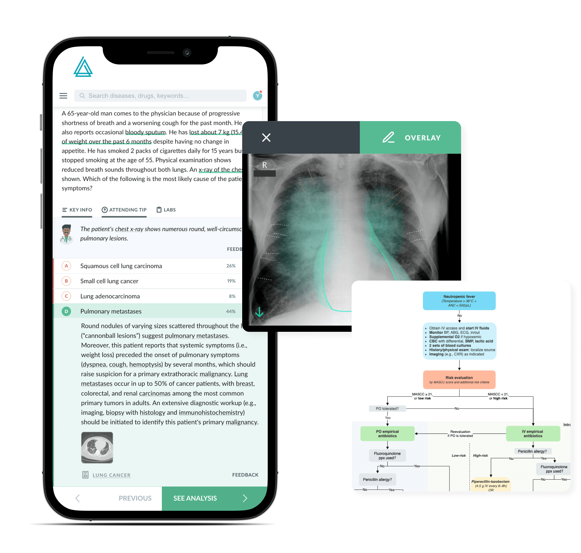 The AMBOSS USMLE® Score Predictor