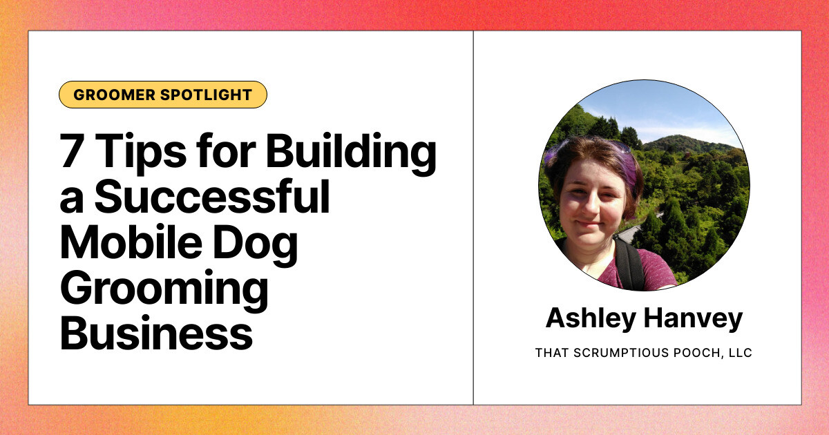 Essential Tips for Starting a Mobile Pet Grooming Business