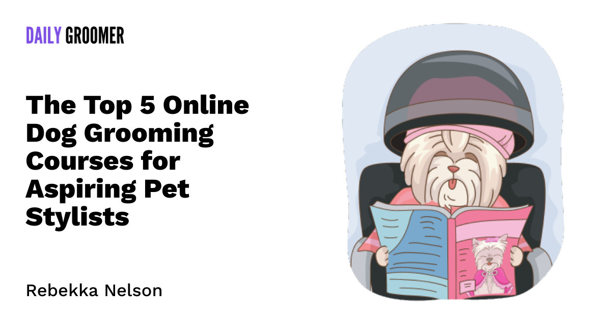 The Top 5 Online Dog Grooming Courses for Aspiring Pet Stylists The Daily Groomer