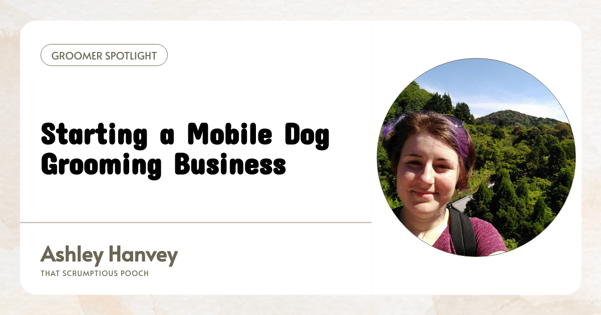 Starting a Mobile Dog Grooming Business The Daily Groomer