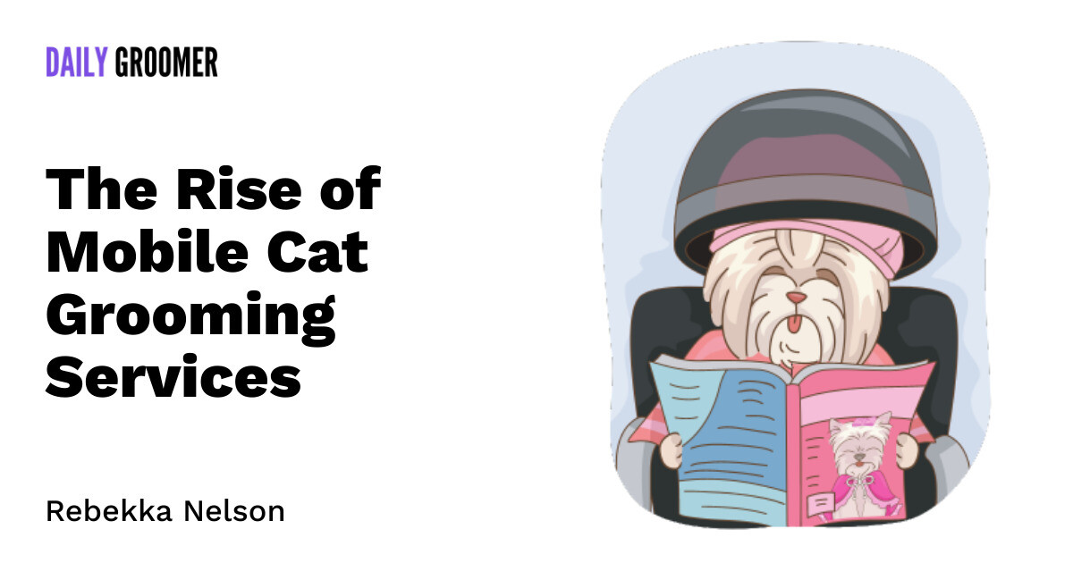 Purrfect Grooming on the Go The Rise of Mobile Cat Grooming Services