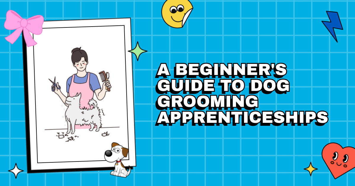 Finding Your Groove with the Comb and Brush A Beginner's Guide to Dog