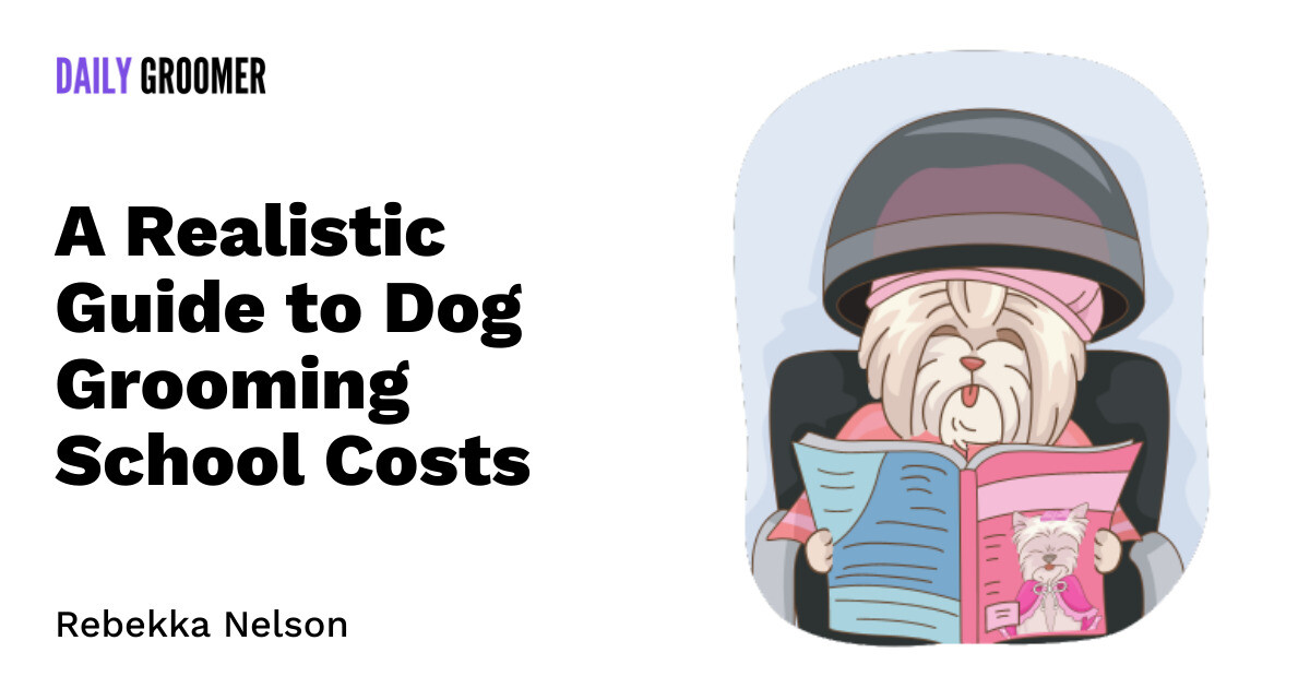 The Price of Primping Pooches A Realistic Guide to Dog Grooming School