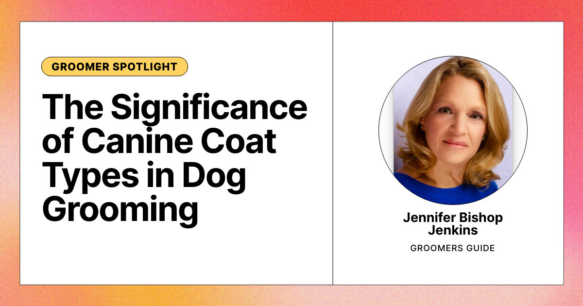 The Significance of Canine Coat Types in Dog Grooming The Daily Groomer