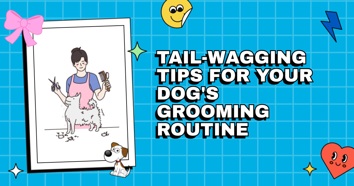 Snip & Shine TailWagging Tips for Your Dog's Grooming Routine The Daily Groomer