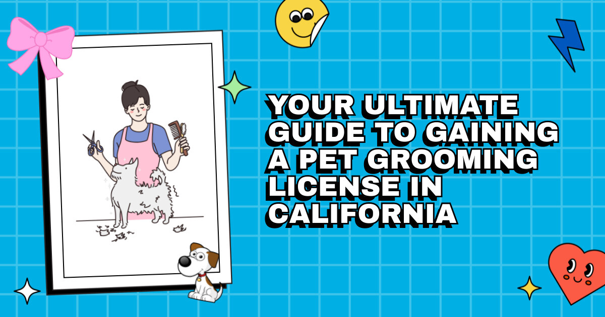 From Clippers to Credentials Your Ultimate Guide to Gaining a Pet