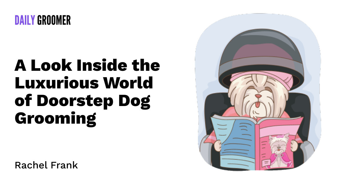 Pampered Pooches A Look Inside the Luxurious World of Doorstep Dog