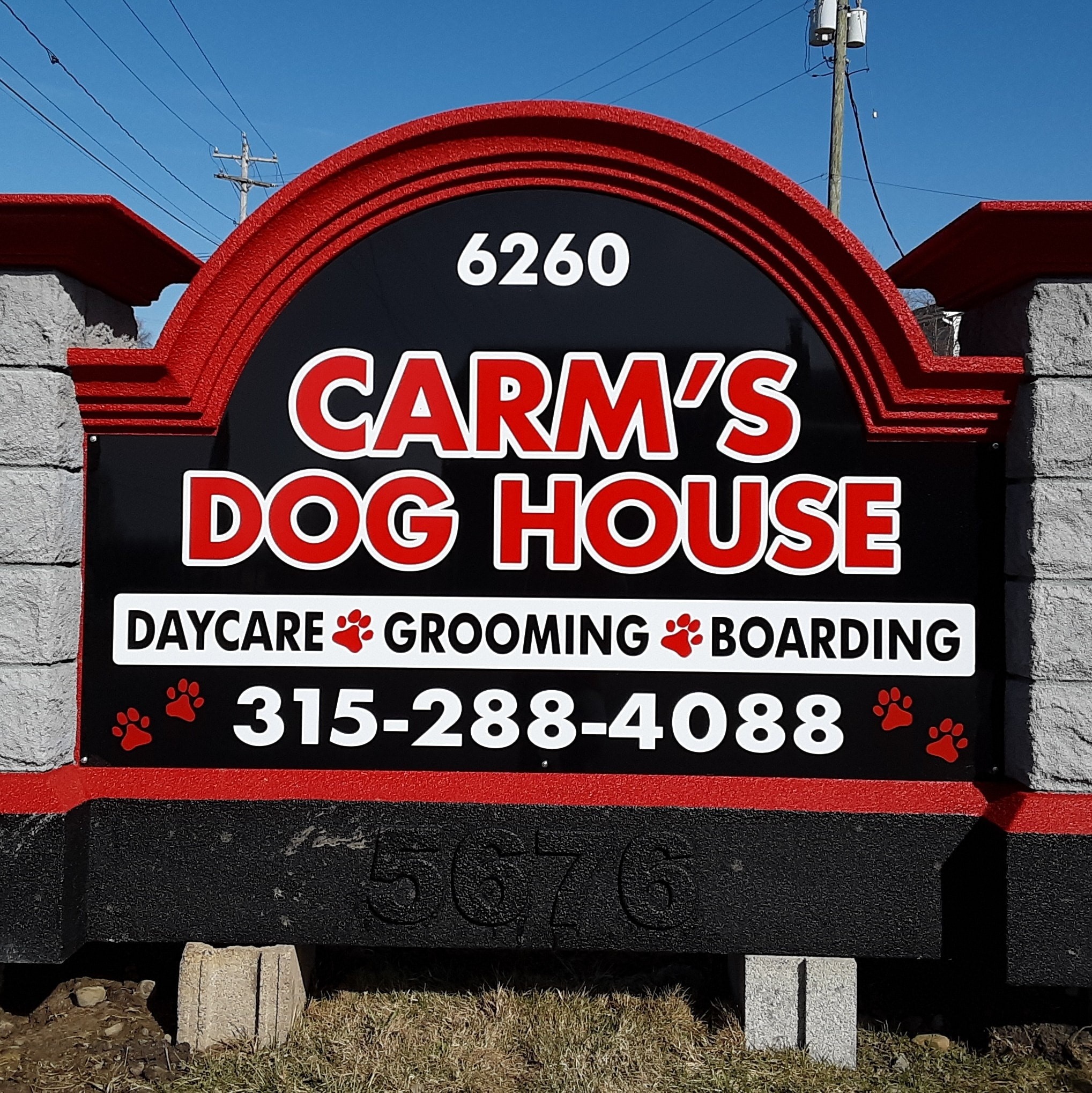 Best Pet Groomers in New York 2024