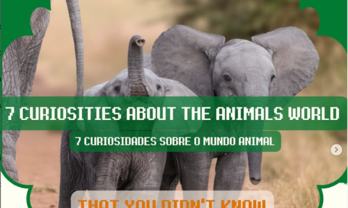 Unlock The Secret Discover The Worlds Fattest Animal A Fascinating Exploration - 46wft52