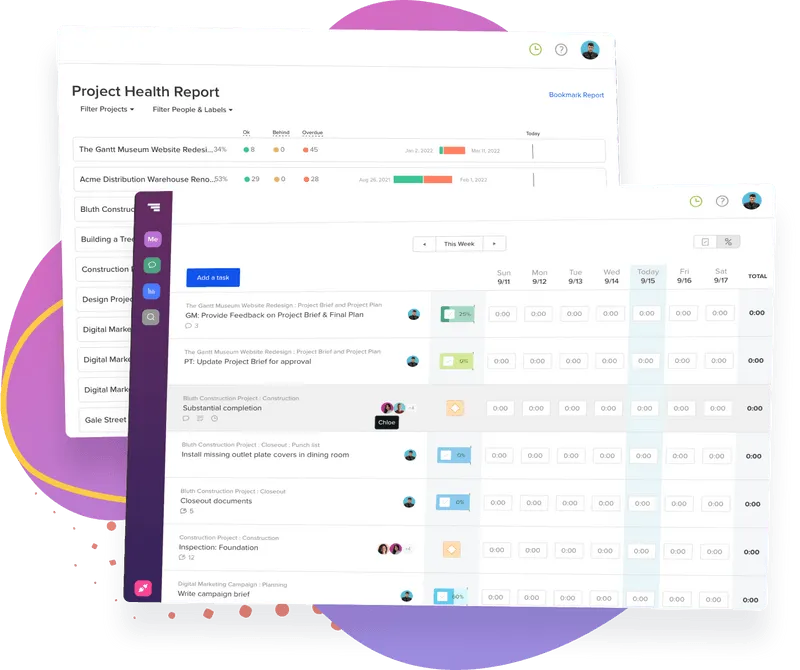 gantt chart template for business plan