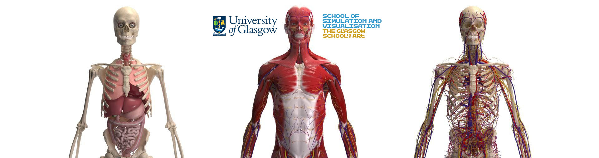 MSc Medical Visualisation & Human Anatomy at GSA
