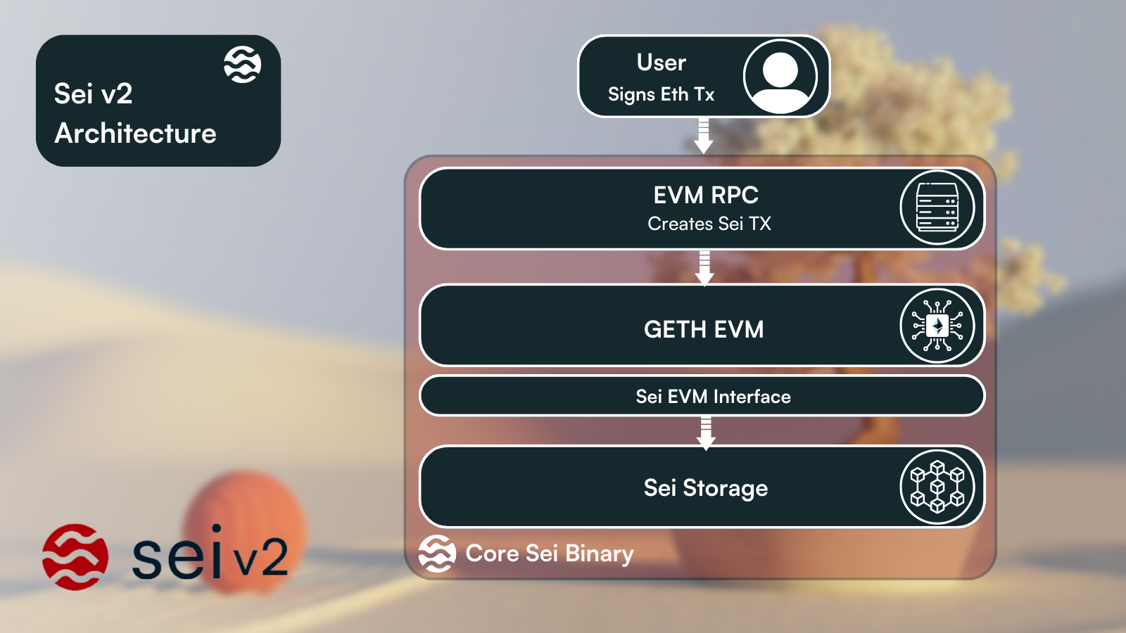 Sei Network Q4 2023 Overview