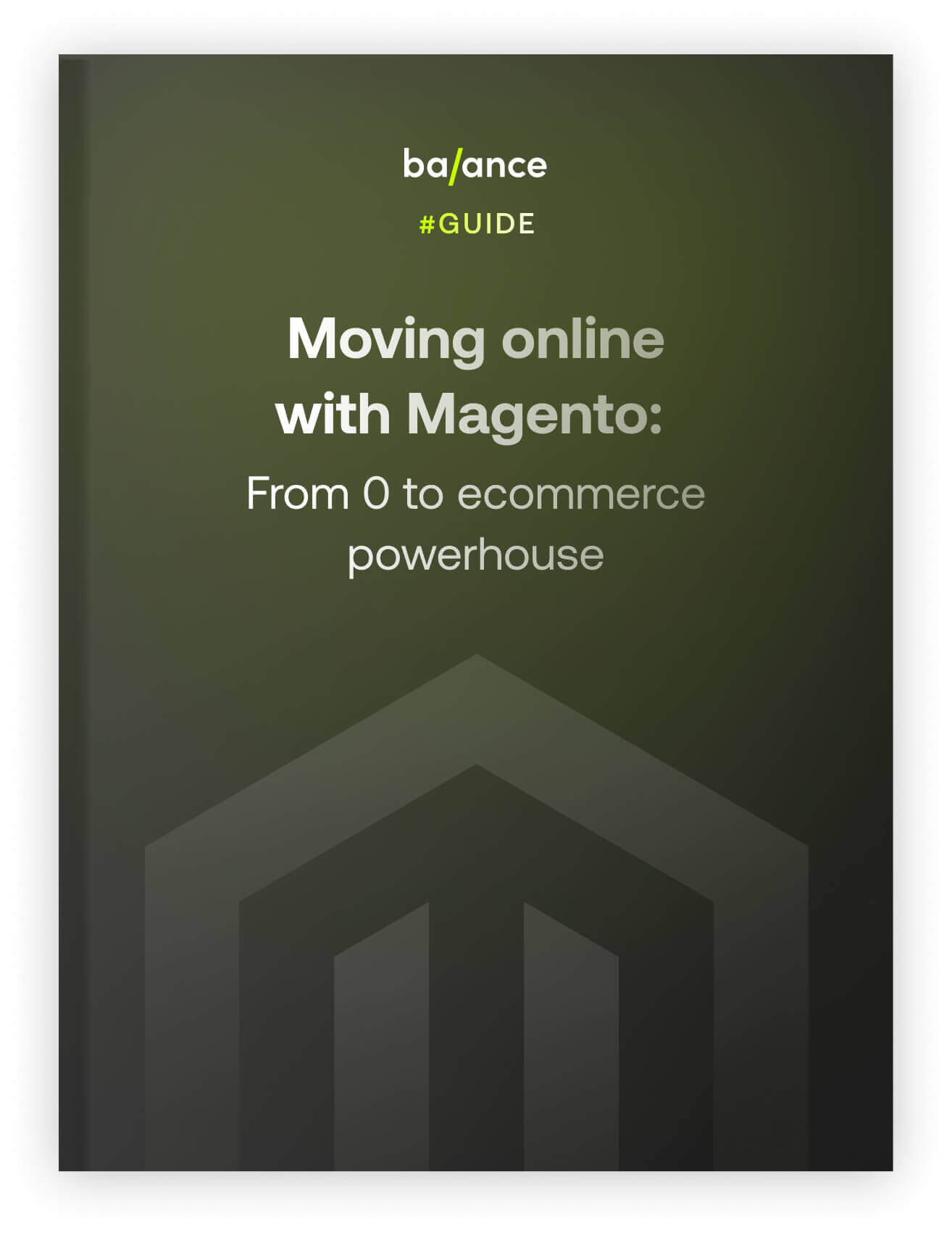 From Marketplace to B2B Ecommerce Powerhouse with Magento