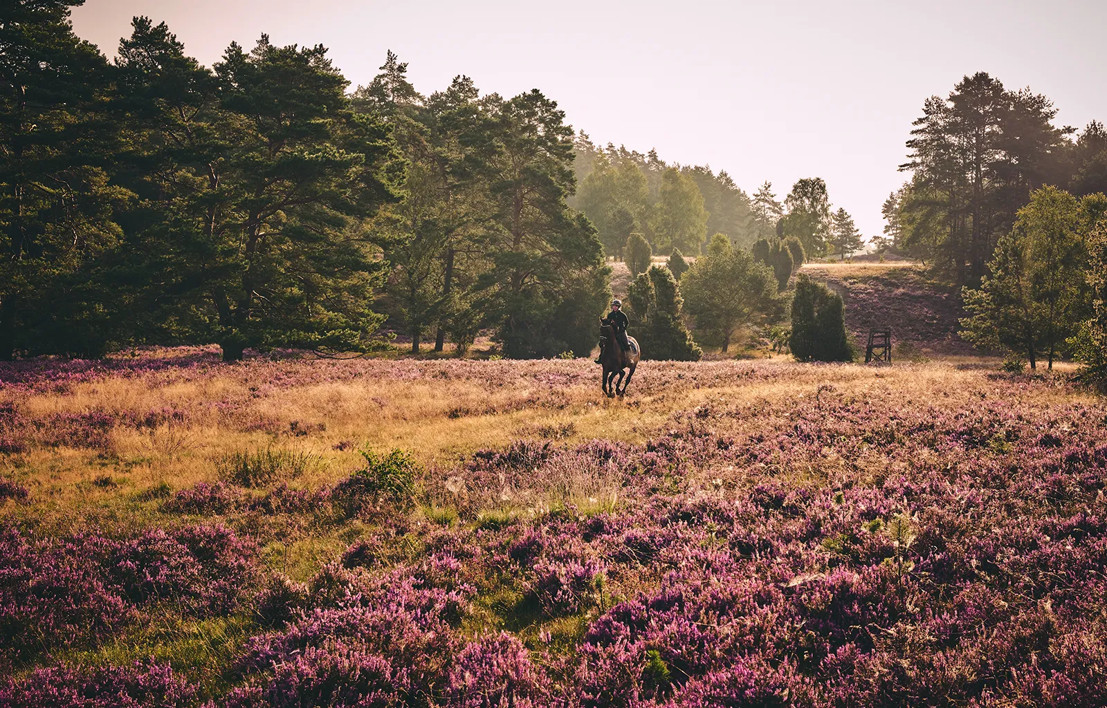 Gut Rehrhof | Urlaub mit eigenem Pferd in der Heide