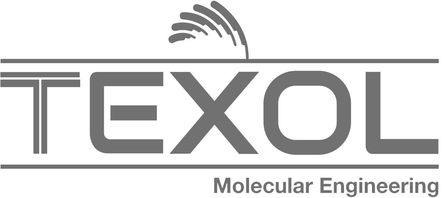 ENH Media - Digital Marketing Agency Dubai