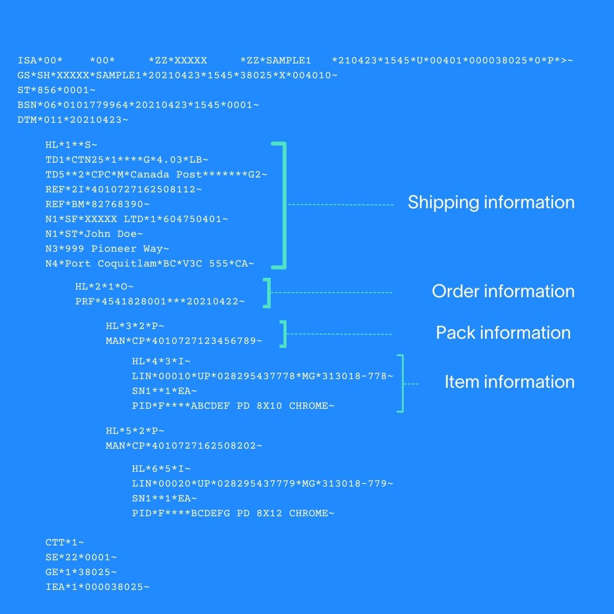 Edi 856 Format | X12 EDI Examples – OZIEH