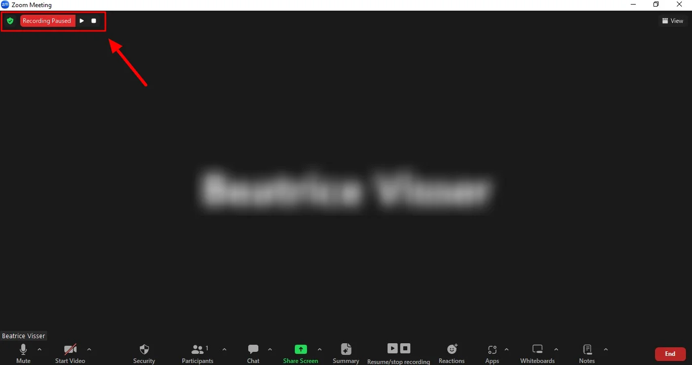 how to pause or stop Zoom video call recording