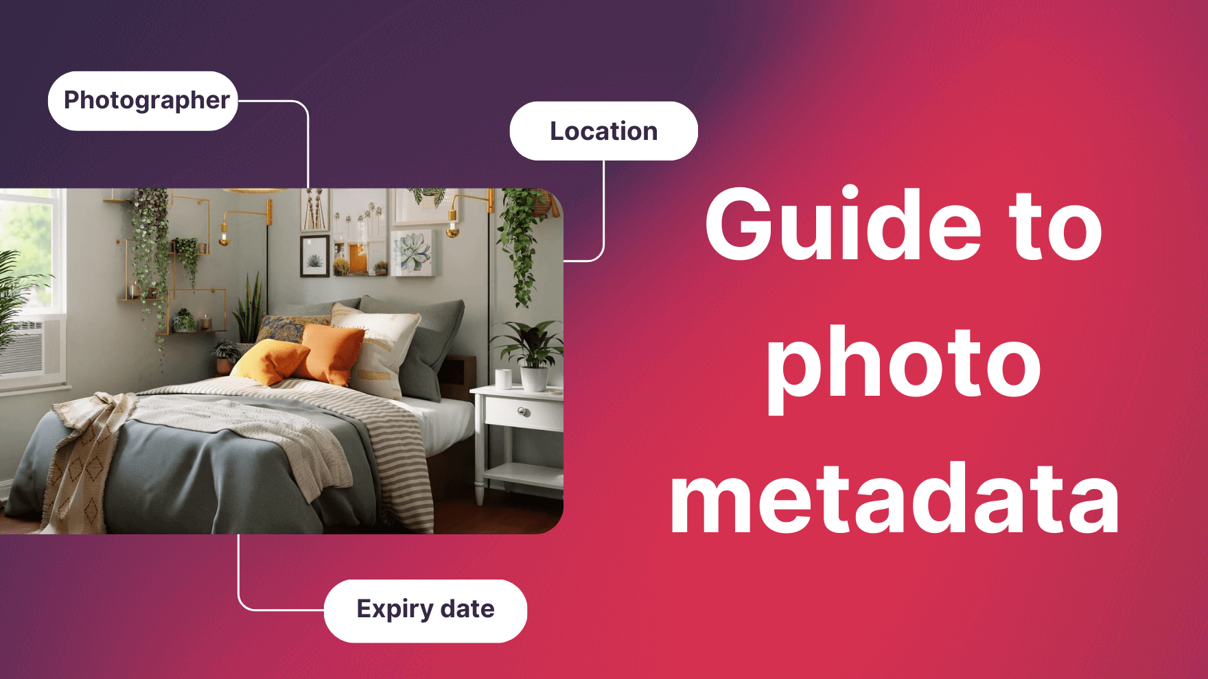 How to organise and protect images with photo metadata