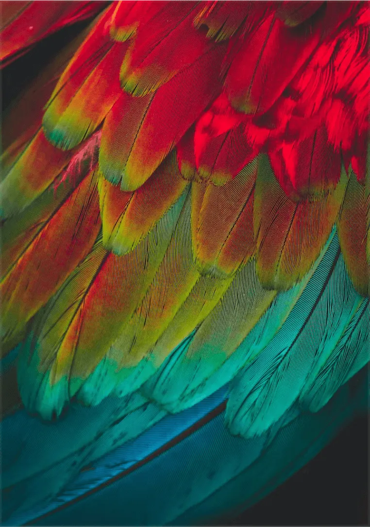 Easily build CSS grid layouts | Webflow