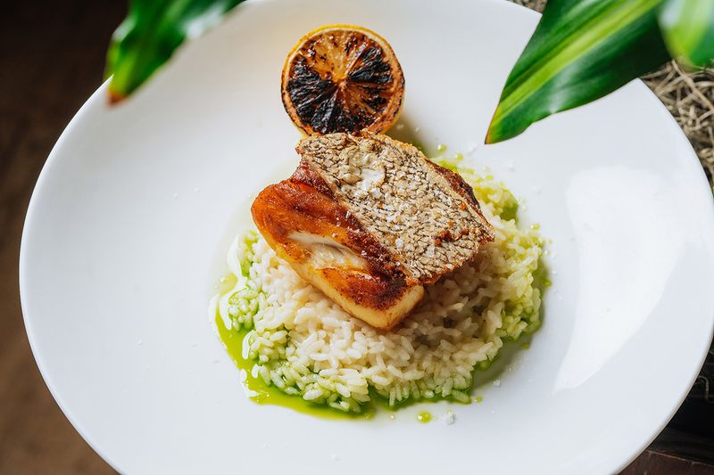 Quinto Miami Cocina de Fuegos South American Restaurant in Miami