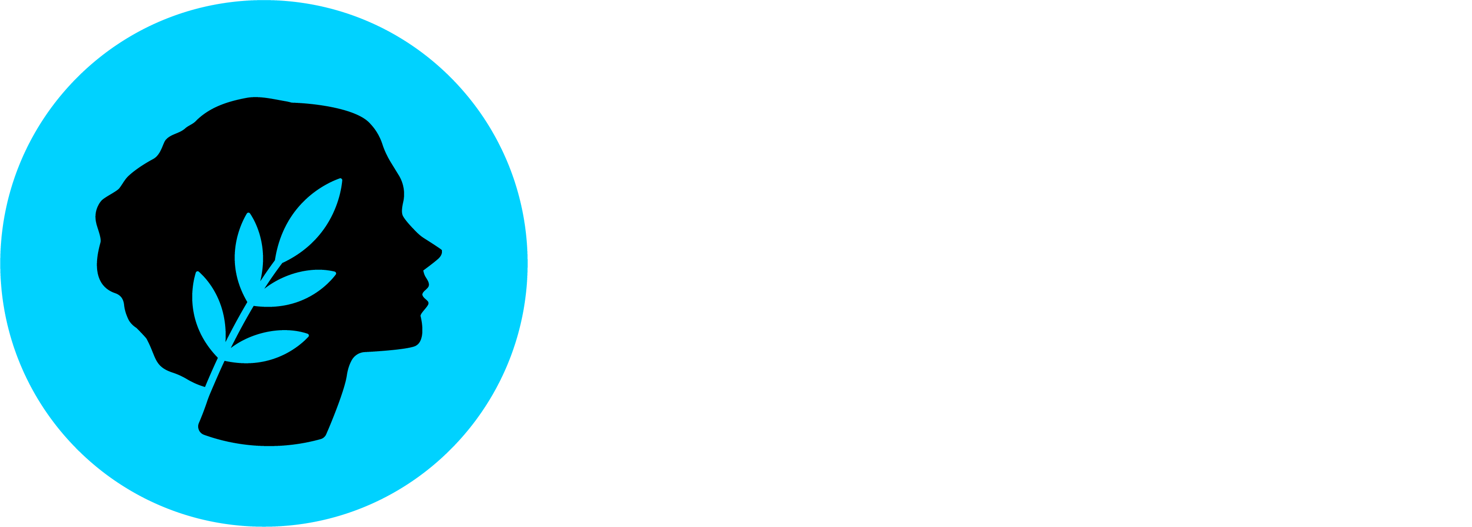 Metis white logo