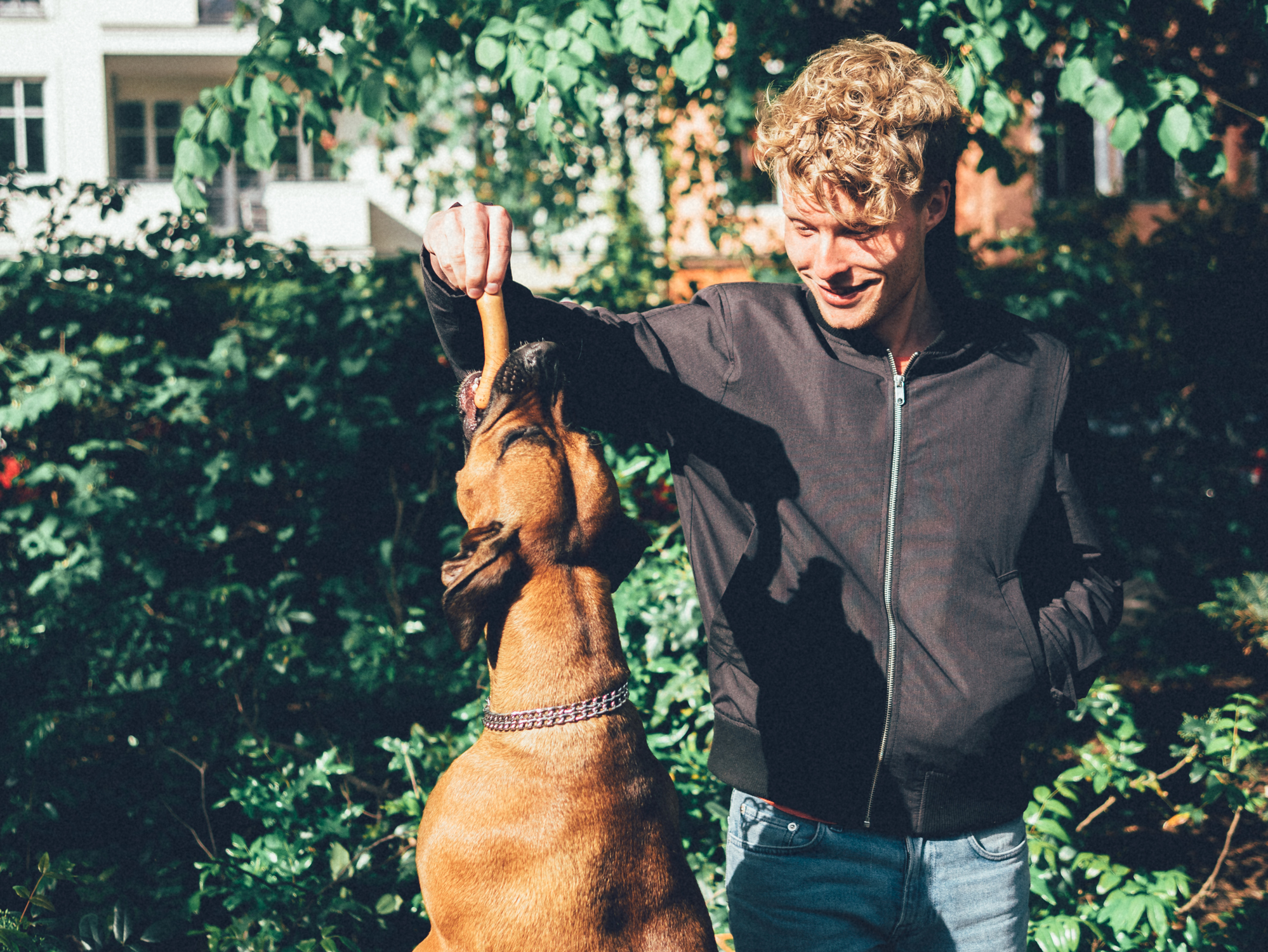 Dog Selfie Hashtags | Facetune