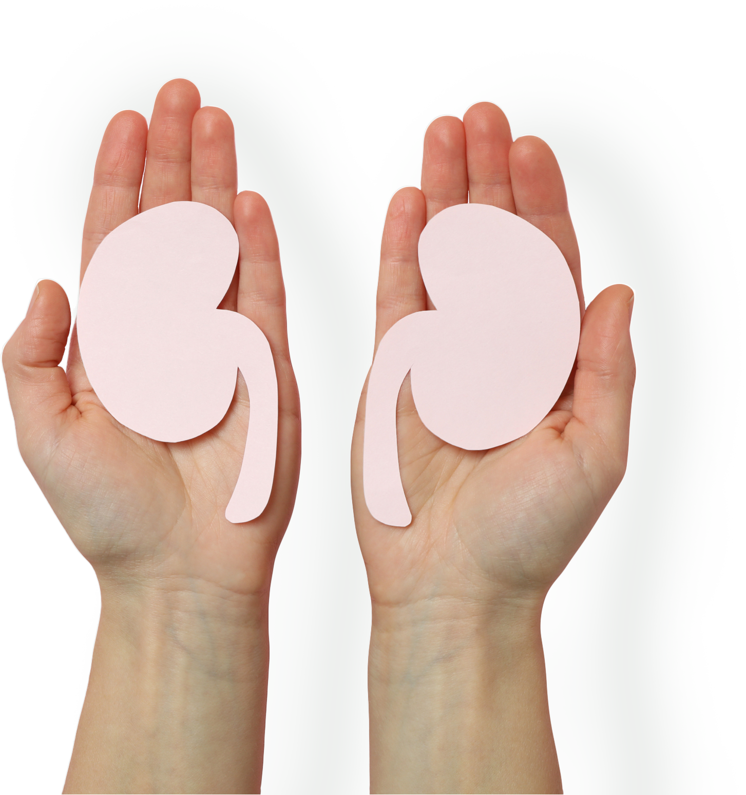 Kidney Care Pharmacy Team