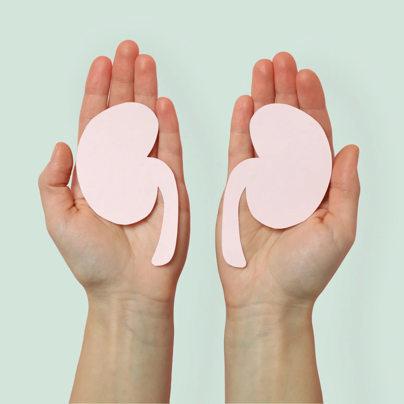 Kidney Care Pharmacy Team