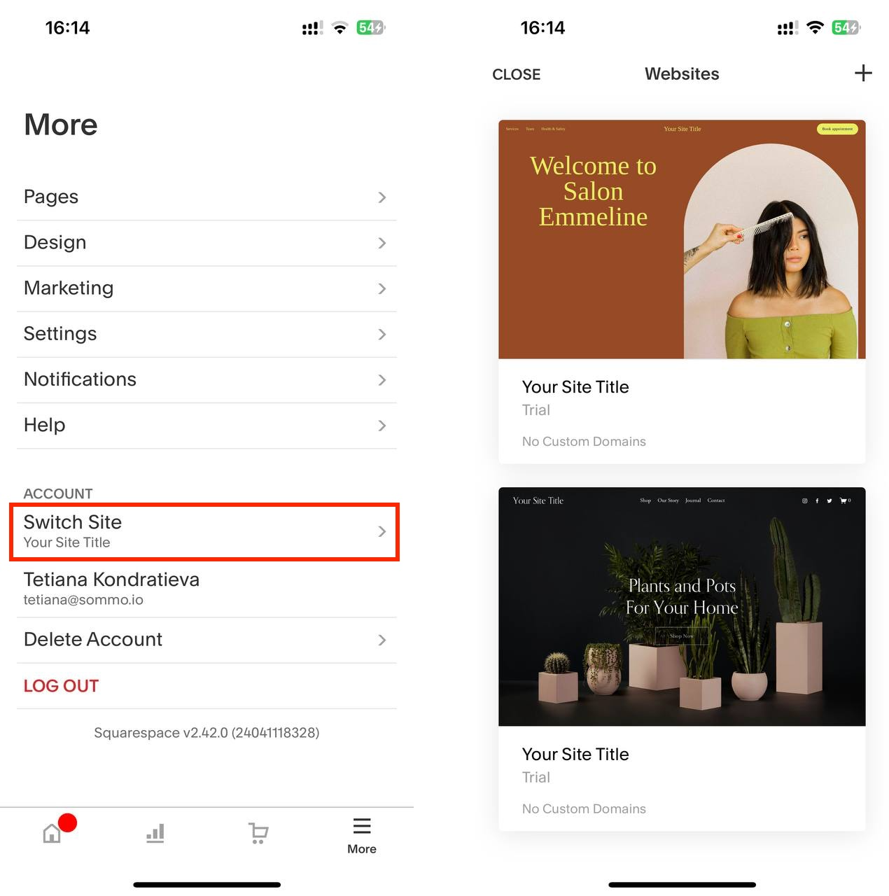 Squarespace Log in website in app