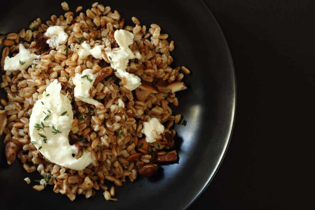 Farro Salad with Burrata and Mushrooms Foodness Gracious