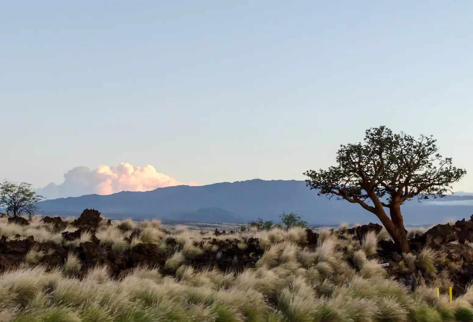 Clearway's Operating Projects in Hawaiʻi