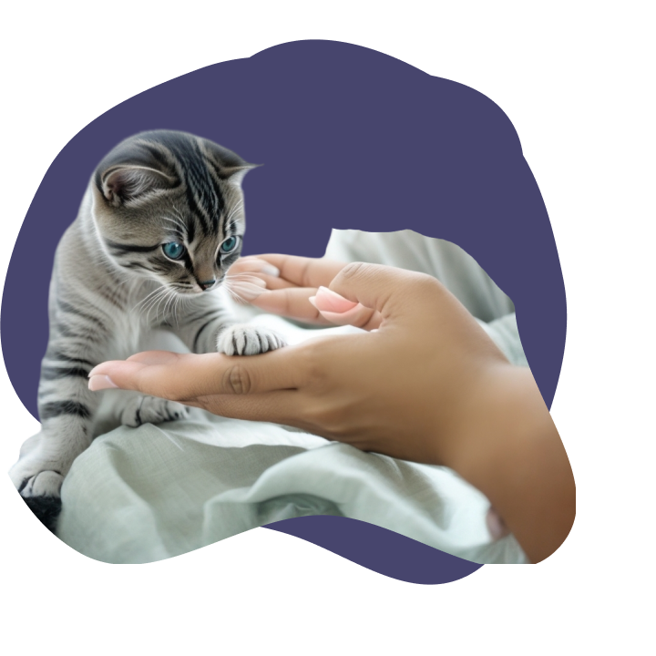 Boarding & Pet Sitting