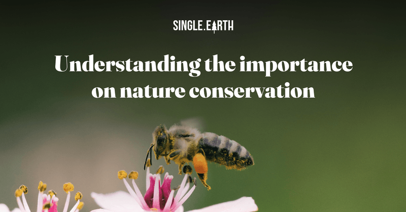 Understanding Nature Conservation Why Is Nature Conservation Important Understanding Nature Conservation Why Is Nature Conservation Important
