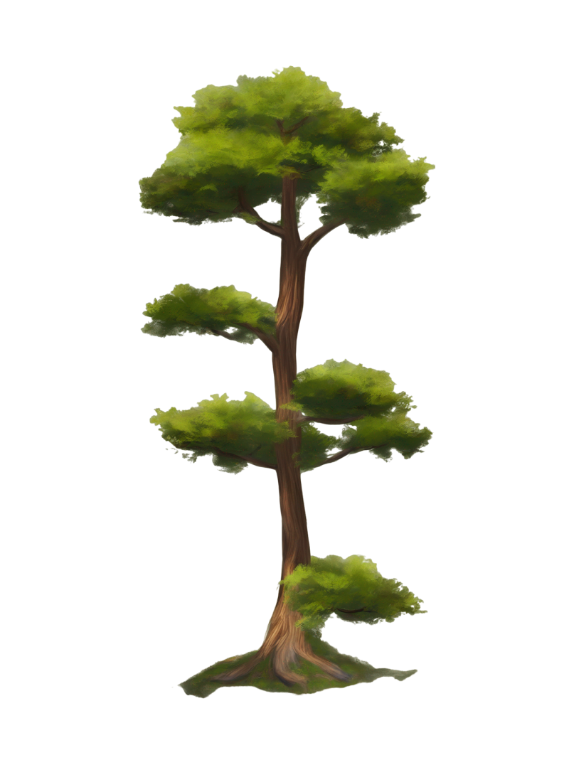 Wand Bring your drawings to life.