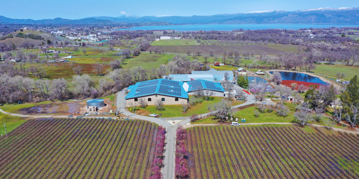 Jackson Family Wines