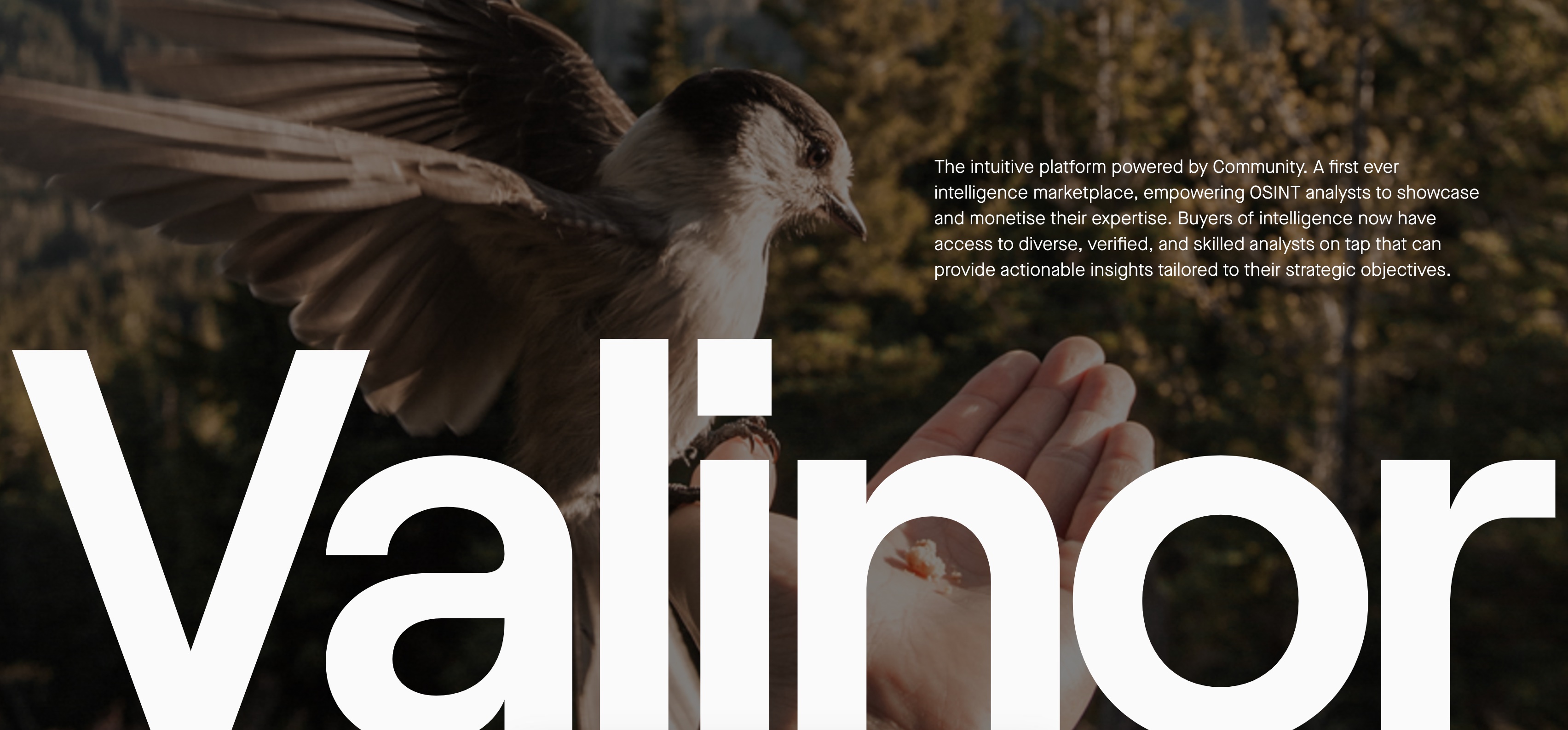 Valinor Intelligence | OSINT Community & Marketplace