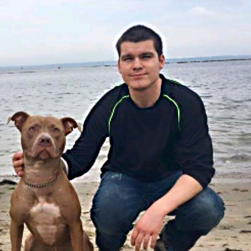 Dog Trainer Kieran Patrick Vaughan Dogo