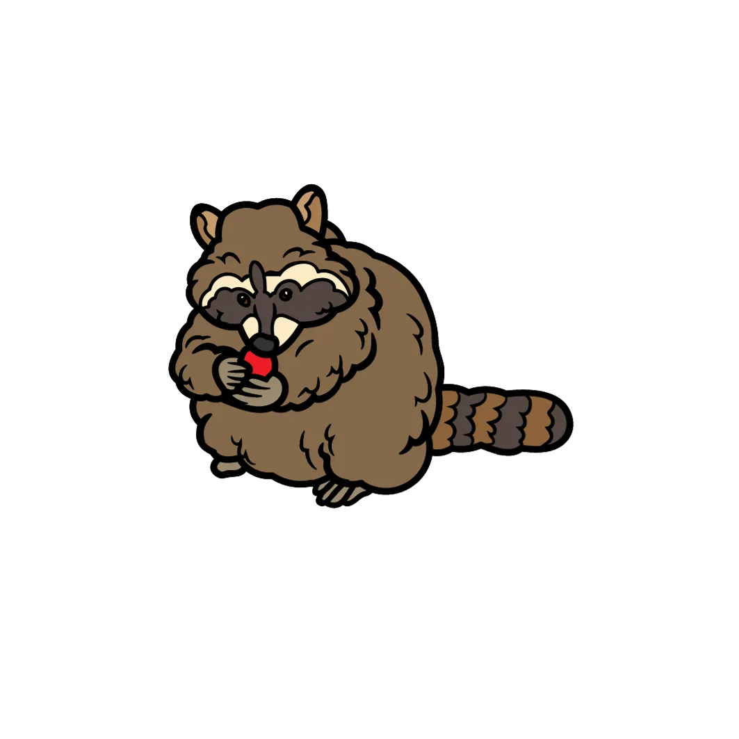 Website Design: 5 Trends You Can’t Ignore in 2023 | Raccoon Web Agency